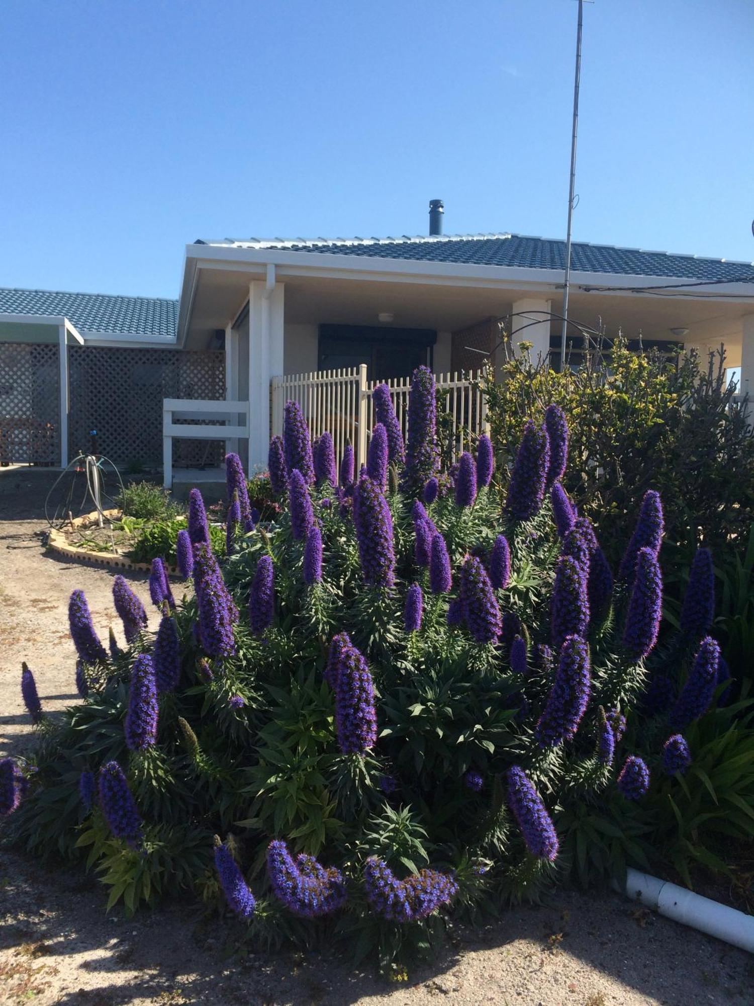 Salty Air Apartments Kingscote Kangaroo Island Luaran gambar